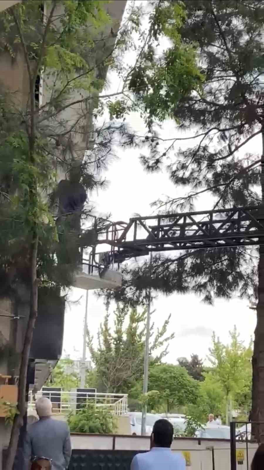 MARDİN'İN ARTUKLU İLÇESİNDE AĞAÇTA MAHSUR KALAN KEDİ İTFAİYE EKİPLERİNCE KURTARILDI.