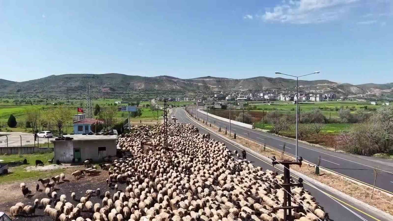 MARDİN'İN NUSAYBİN İLÇESİNDEKİ KIŞLAKLARINDAN ÇIKAN GÖÇERLERİN BATMAN'IN GERCÜŞ İLÇESİNDEKİ...