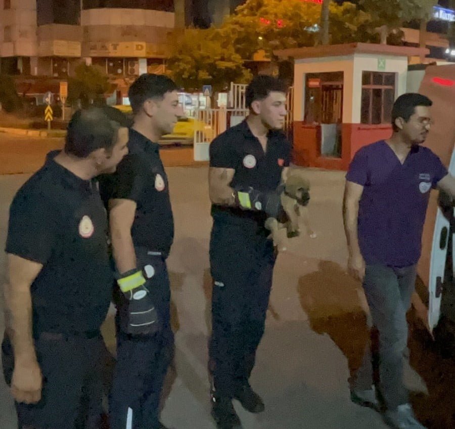 MERSİN’DE BİR OTOMOBİLİN MOTOR BÖLÜMÜNE SIKIŞAN YAVRU KÖPEK, İTFAİYE EKİPLERİNİN YAKLAŞIK 40...