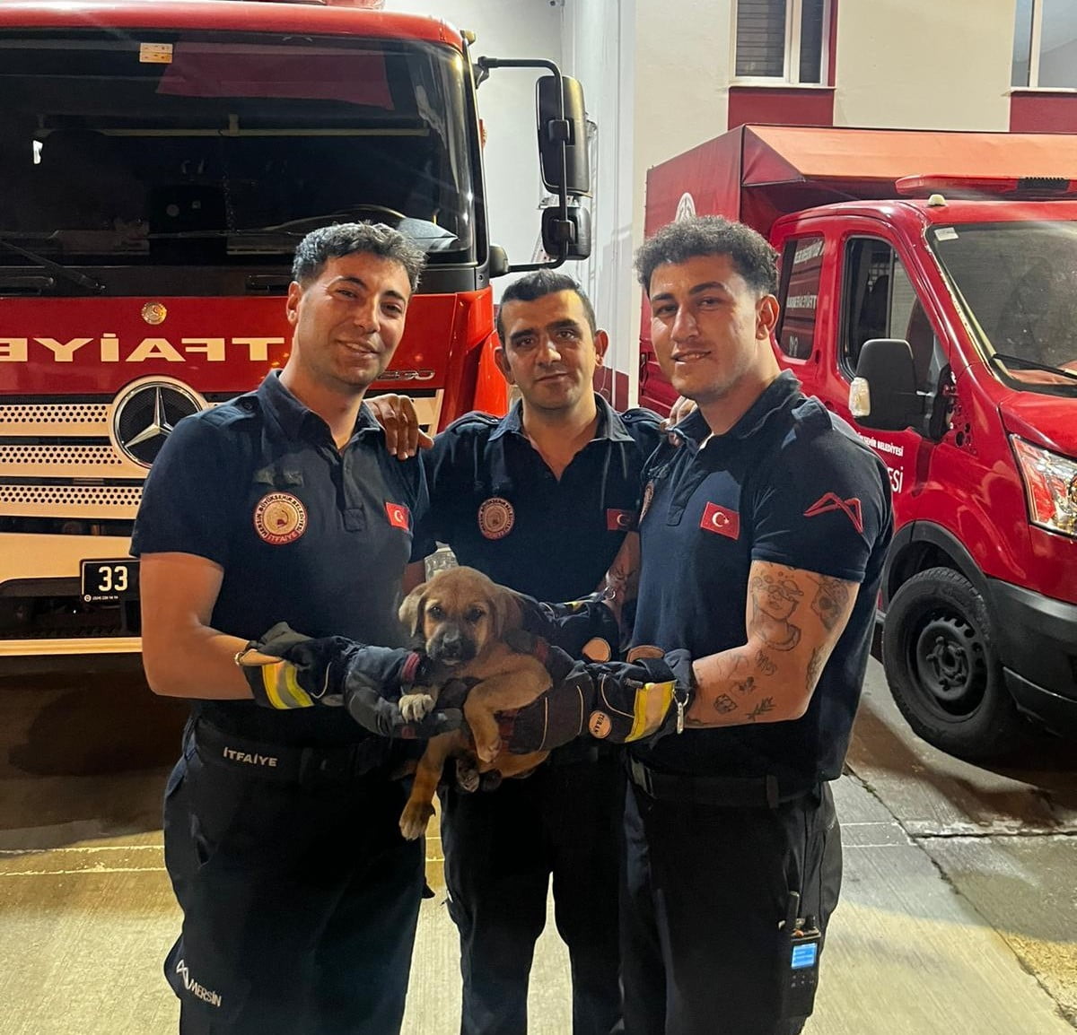 MERSİN’DE BİR OTOMOBİLİN MOTOR BÖLÜMÜNE SIKIŞAN YAVRU KÖPEK, İTFAİYE EKİPLERİNİN YAKLAŞIK 40...
