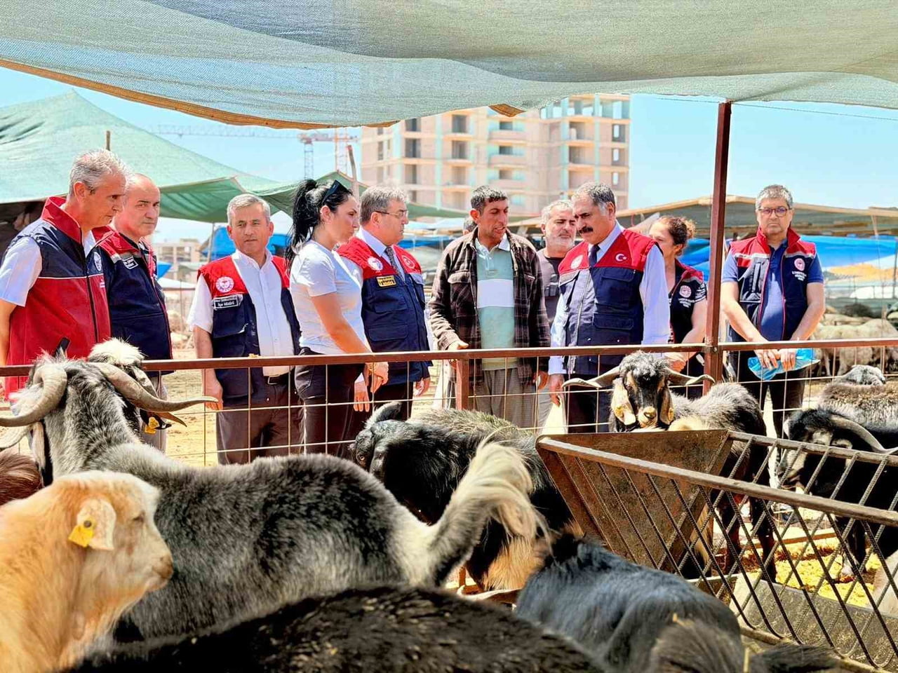 MERSİN’DE KURBAN BAYRAMI ÖNCESİ VATANDAŞLARIN GÜVENLİ, HUZURLU VE HİJYENİK ORTAMDA ALIŞVERİŞ...