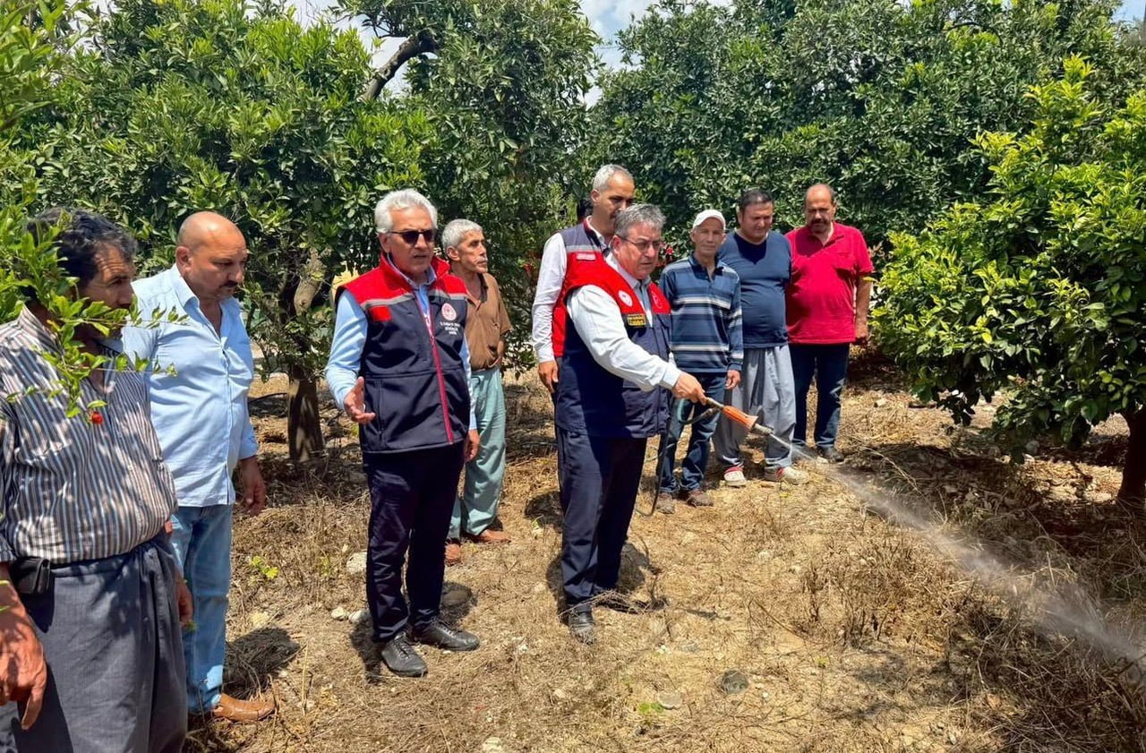 MERSİN’DE TARIMSAL ÜRETİMİ TEHDİT EDEN AKDENİZ MEYVE SİNEĞİNE KARŞI YÜRÜTÜLEN MÜCADELE ÇALIŞMALARI...