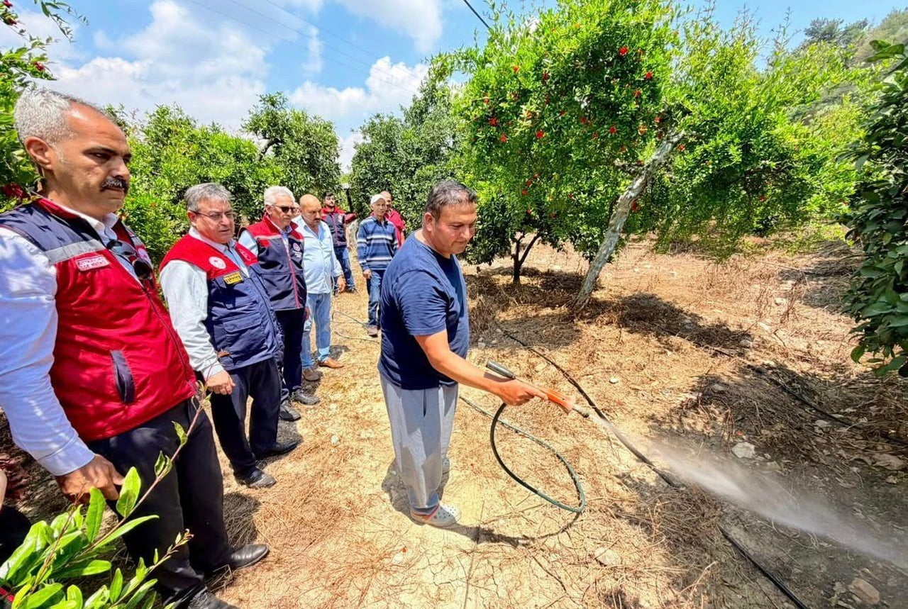 MERSİN’DE TARIMSAL ÜRETİMİ TEHDİT EDEN AKDENİZ MEYVE SİNEĞİNE KARŞI YÜRÜTÜLEN MÜCADELE ÇALIŞMALARI...