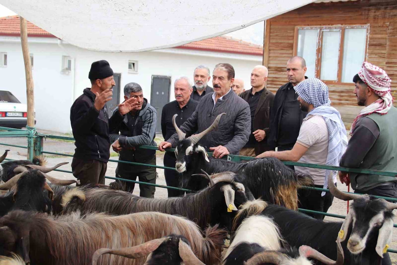 MESOB BAŞKANI KESKİN: CANLI HAYVAN PAZARI YENİDEN KAMU MALI OLMALI