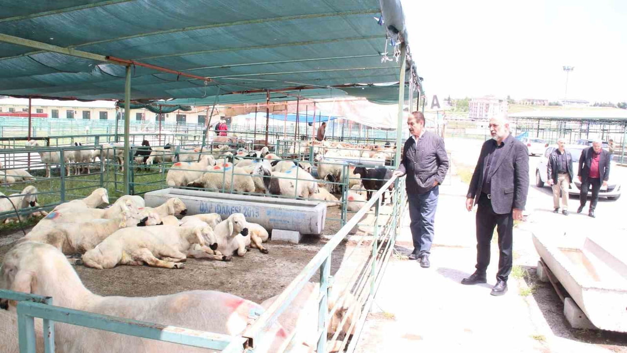 MESOB BAŞKANI KESKİN: CANLI HAYVAN PAZARI YENİDEN KAMU MALI OLMALI