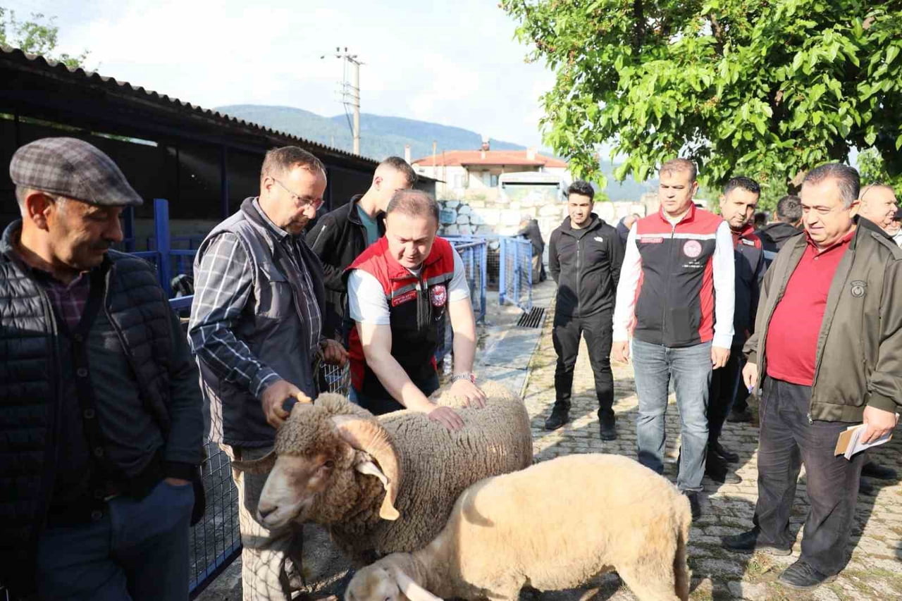 MUĞLA'DA KURBAN PAZARLARINDA SIKI DENETİM