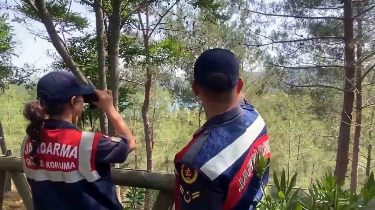 MUĞLA VALİLİĞİ, YAZ AYLARINDA ARTAN ORMAN YANGINI RİSKİNE KARŞI 1 HAZİRAN-31 EKİM 2026 TARİHLERİ...