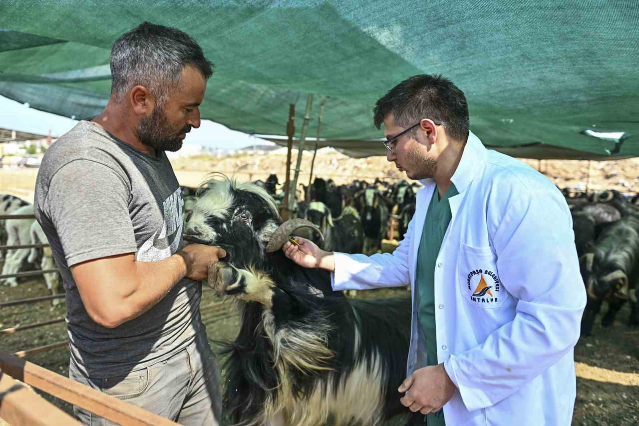 MURATPAŞA BELEDİYESİ’NİN ERMENEK MAHALLESİ’NDE YER ALAN KURBAN SATIŞ ALANINA BÜYÜKBAŞ VE KÜÇÜKBAŞ...