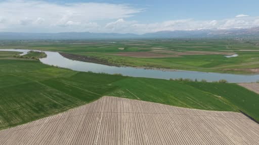 Muş'ta kadın emeği ile 80 bin karpuz fidesi toprakla buluşturuldu