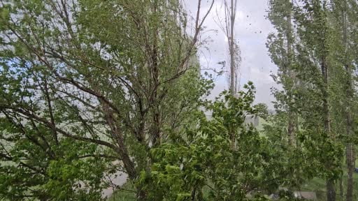Muş'ta şiddetli dolu yağışı kazaya neden oldu: Minibüs yan yattı