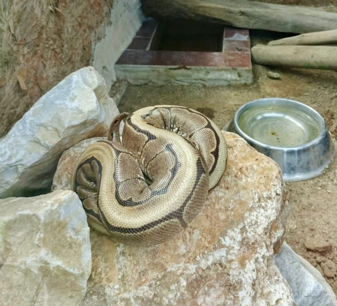 ORDU İL EMNİYET MÜDÜRLÜĞÜ KAÇAKÇILIK VE ORGANİZE SUÇLARLA MÜCADELE ŞUBE MÜDÜRLÜĞÜ EKİPLERİ İLE...
