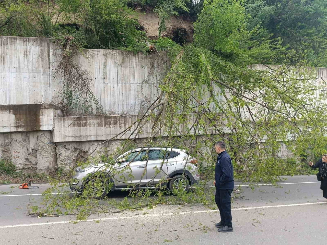 ORDU’NUN ULUBEY İLÇESİNDE SEYİR HALİNDEKİ CİPİN ÜZERİNE AĞAÇ DEVRİLDİ.