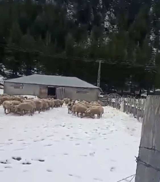 OSMANİYE KADİRLİ KAR