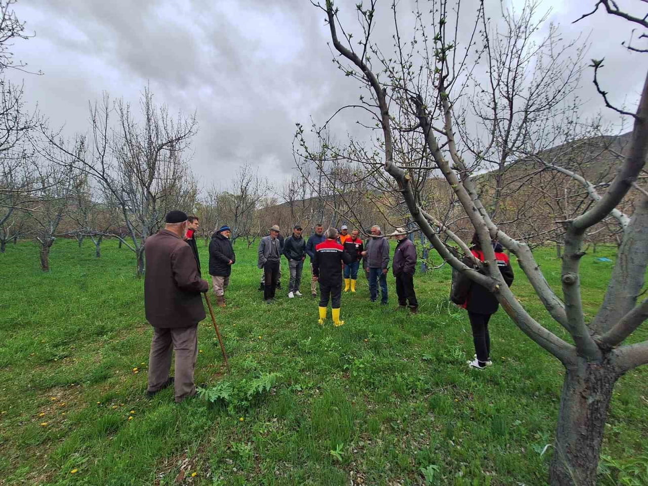 OTLUKBELİ’NDE ÜRETİCİLERE MEYVE AĞAÇLARINDA BUDAMA EĞİTİMİ