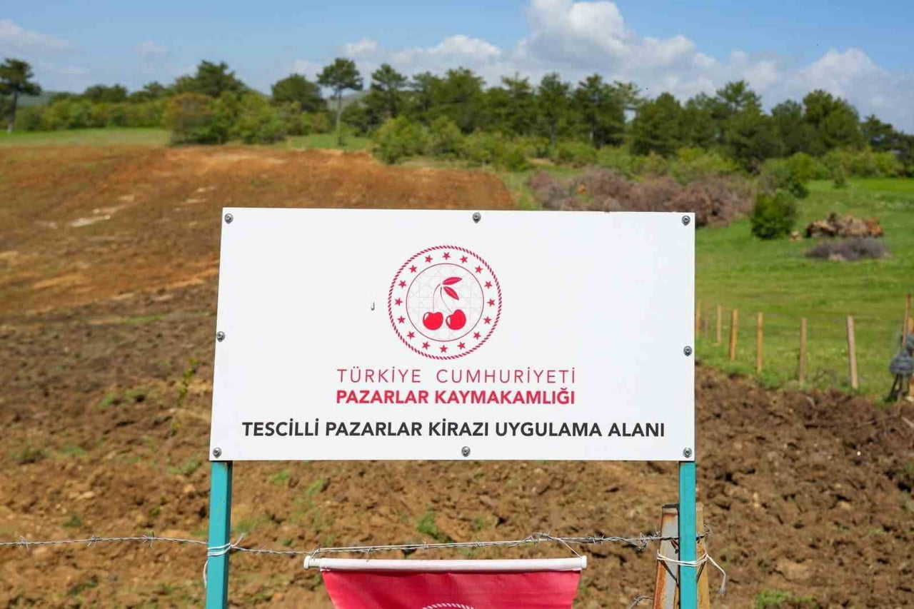 PAZARLAR’DA ATIL DURUMDAKİ HAZİNE ARAZİSİ TARIMA KAZANDIRILDI