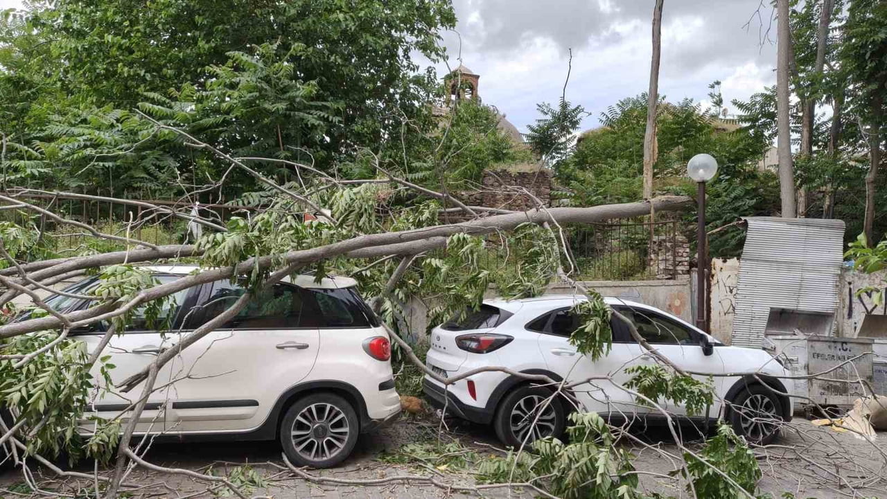 RÜZGARDA DEVRİLEN AĞAÇ PARK HALİNDEKİ ARAÇLARA ZARAR VERDİ