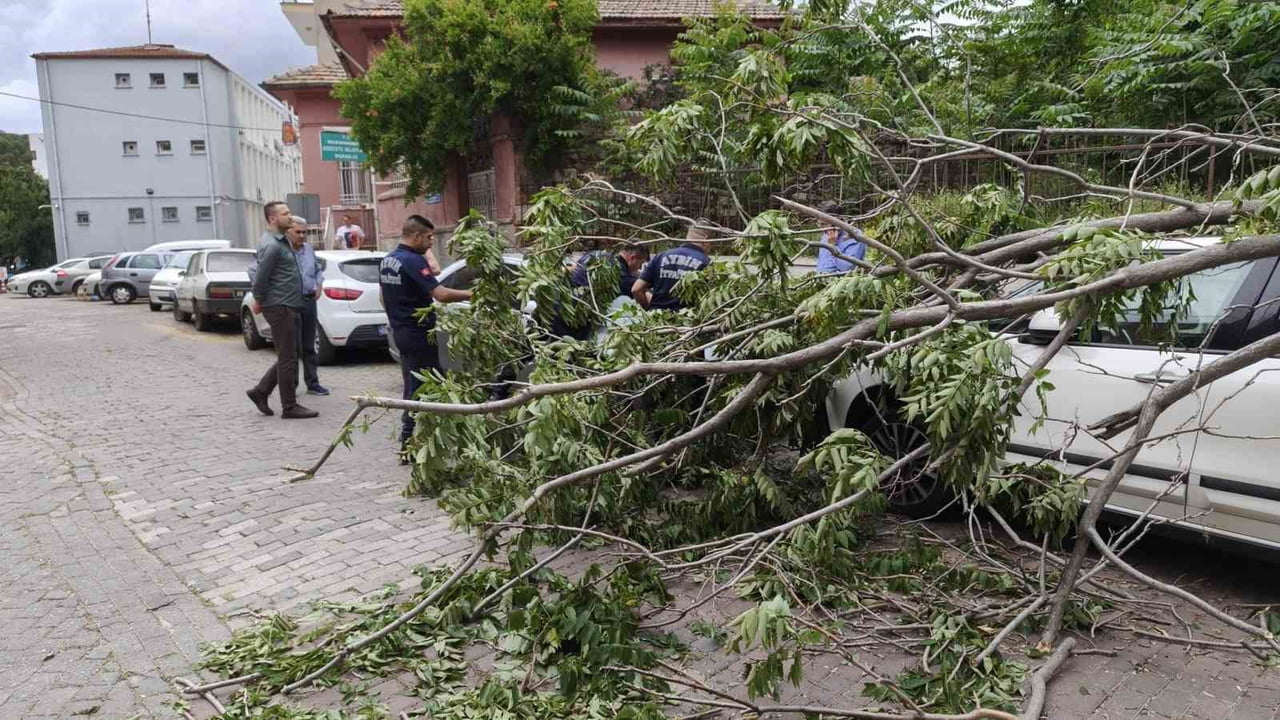 RÜZGARDA DEVRİLEN AĞAÇ PARK HALİNDEKİ ARAÇLARA ZARAR VERDİ