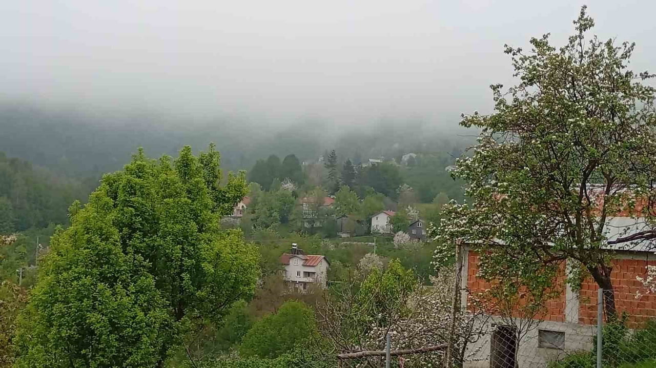 SAKARYA'NIN HENDEK İLÇESİNDE YÜKSEK RAKIMLI BÖLGELERDE BAHARIN GELİŞİ VE ETKİLİ OLAN SİSLE...