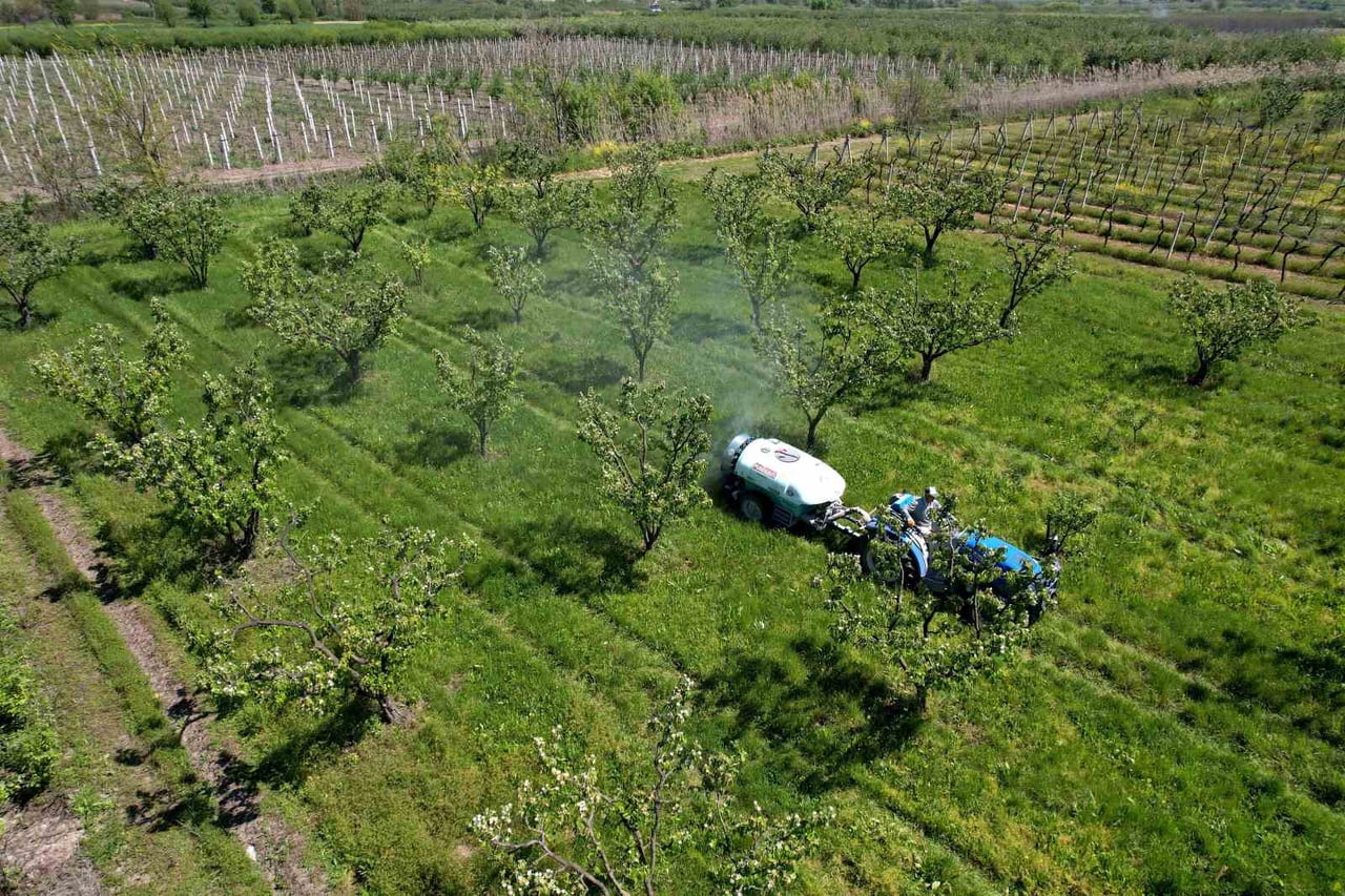 SAKARYA’DA YETİŞTİRİLEREK TÜRKİYE’NİN YANI SIRA DÜNYANIN BİRÇOK ÜLKESİNE GÖNDERİLEN VE ADINA...