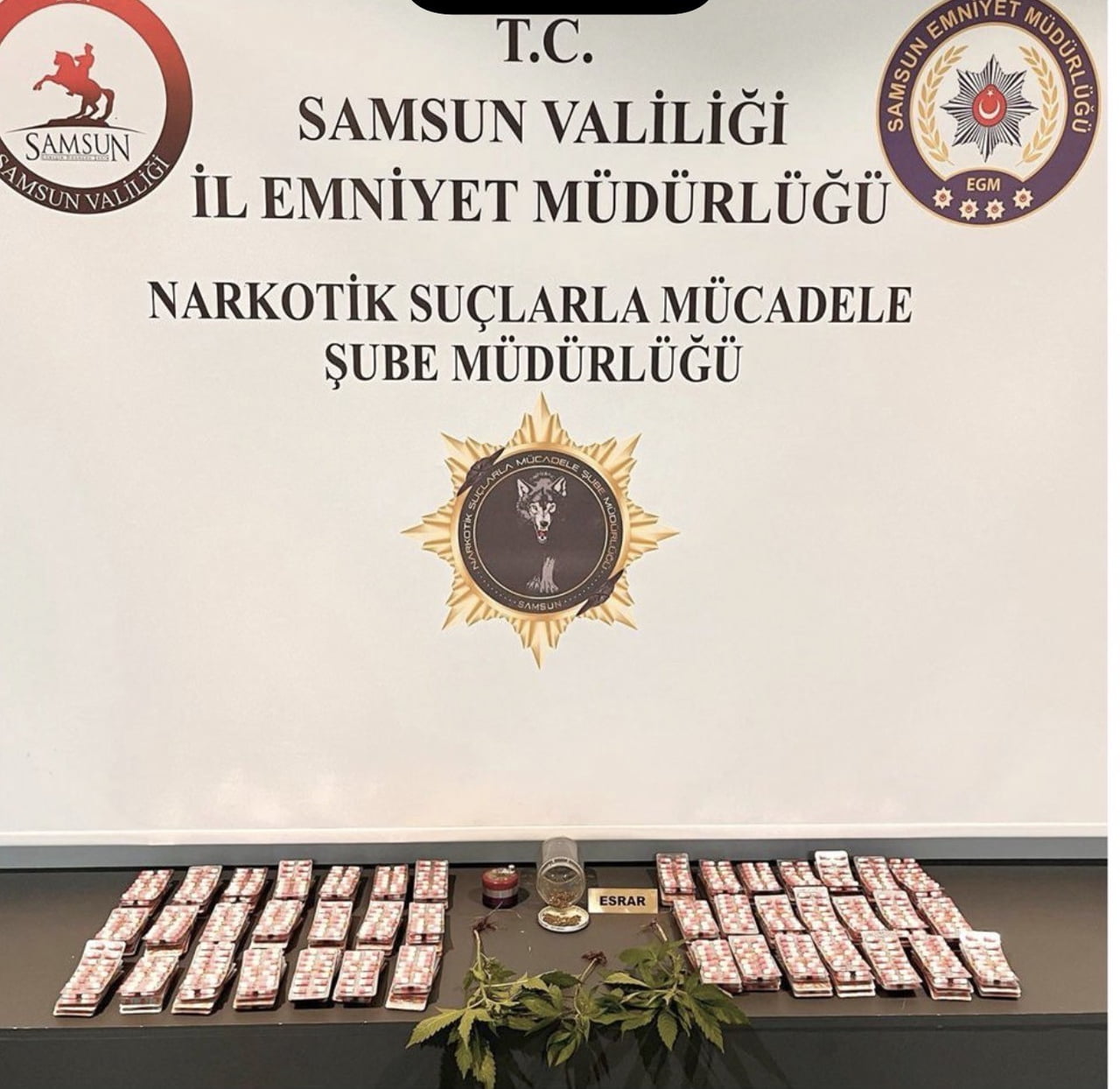 SAMSUN’DA NARKOTİK EKİPLERİNCE DÜZENLENEN OPERASYONLARDA ÇOK SAYIDA UYUŞTURUCU MADDE, KENEVİR...