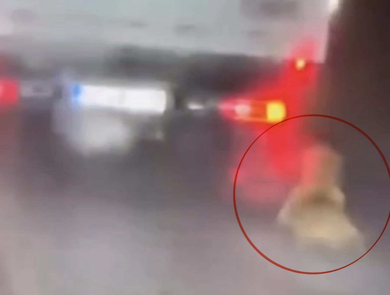 SAMSUN’DA SOSYAL MEDYADA PAYLAŞILAN GÖRÜNTÜLERDE KÖPEĞİN KAMYONETİN ARKASINDA SÜRÜKLENDİĞİNİN...