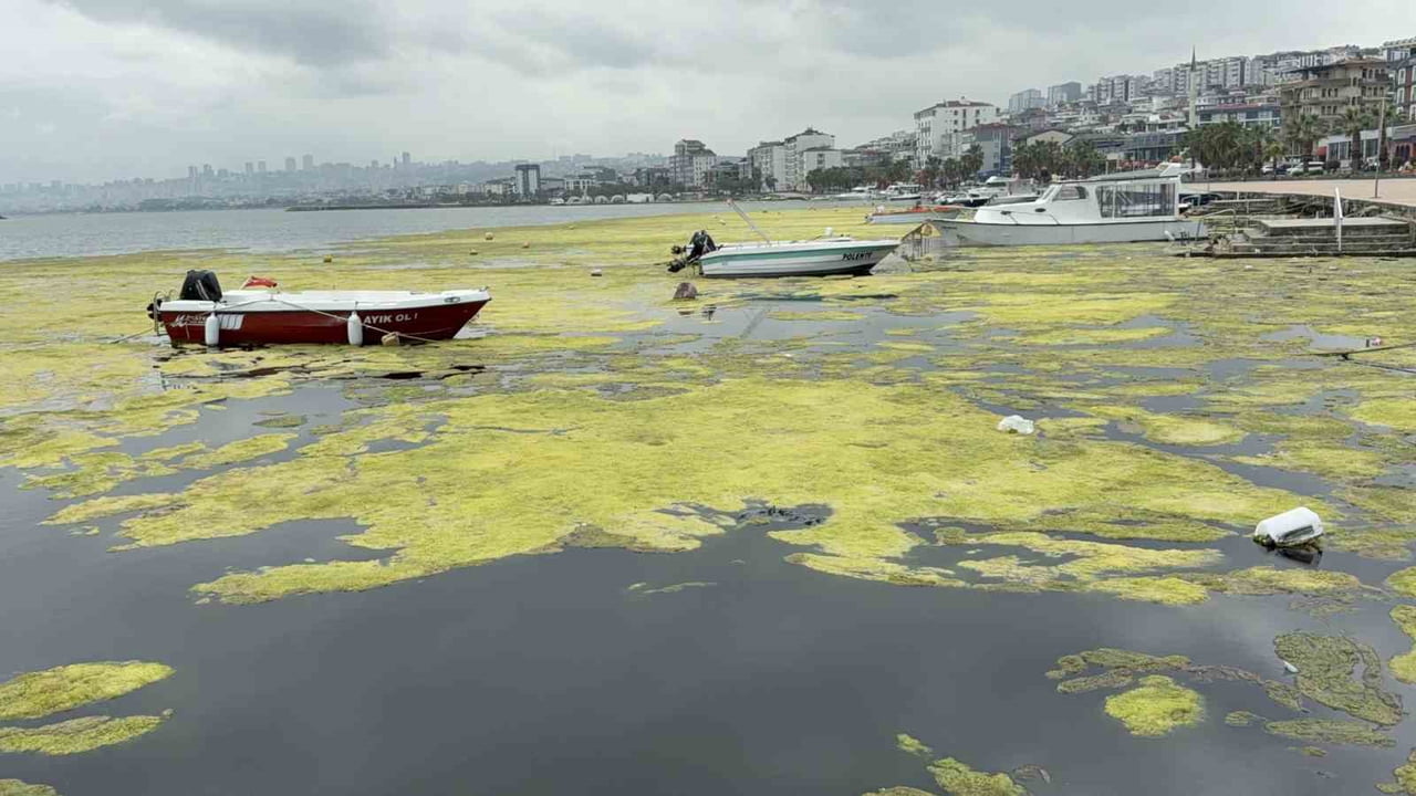 SAMSUN’UN ATAKUM İLÇESİNDE BULUNAN KURUPELİT MARİNA’DA ZAMANLA OLUŞAN DİP ÇAMURU VE SIĞLAŞMANIN...