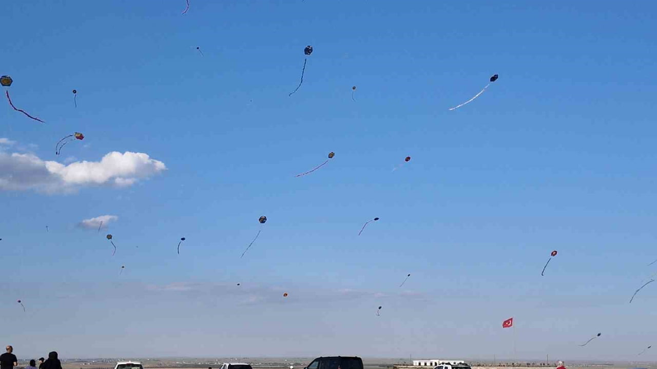 ŞANLIURFA'NIN CEYLANPINAR İLÇESİNDE DÜZENLENEN UÇURTMA ŞENLİĞİNDE ÇOCUKLAR JANDARMA EKİPLERİYLE...