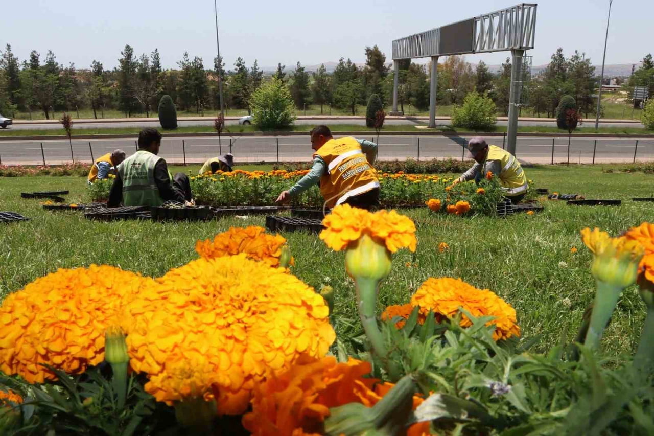 ŞANLIURFA ÇİÇEKLERLE DONATILDI
