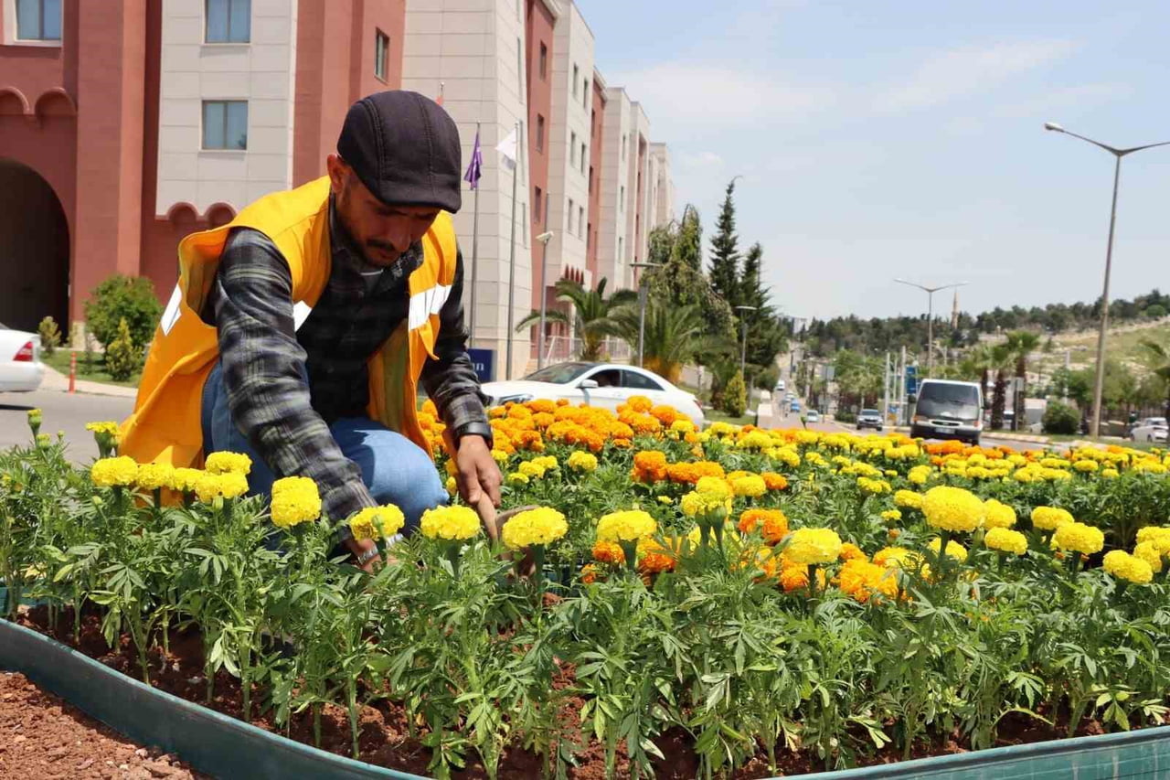 ŞANLIURFA ÇİÇEKLERLE DONATILDI
