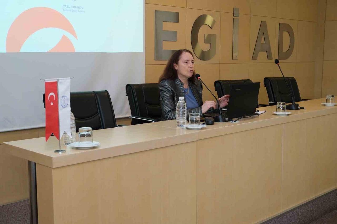 SHURA ENERJİ DÖNÜŞÜMÜ MERKEZİ KIDEMLİ ENERJİ ANALİSTİ YAEL TARANTO
