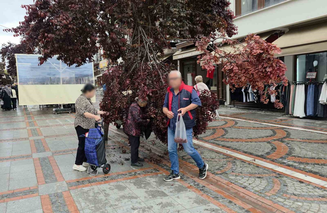ŞİDDETLİ YAĞIŞ VE RÜZGARIN ETKİSİYLE CADDE ÜZERİNDEKİ BİR ERİK AĞACI DEVRİLİRKEN, VATANDAŞLAR...
