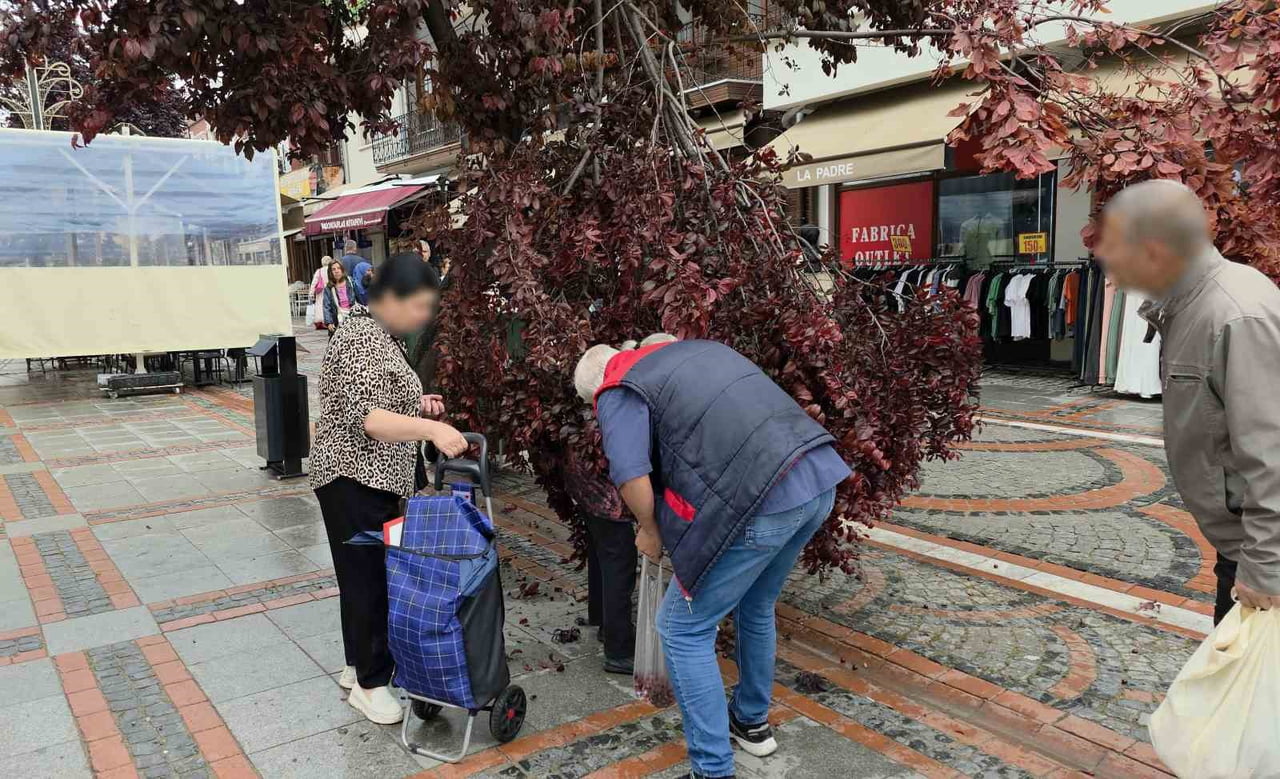 ŞİDDETLİ YAĞIŞ VE RÜZGARIN ETKİSİYLE CADDE ÜZERİNDEKİ BİR ERİK AĞACI DEVRİLİRKEN, VATANDAŞLAR...