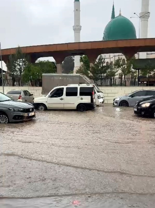 SİİRT’TE SAĞANAK YAĞIŞ SELE NEDEN OLDU, İŞ YERLERİ VE SERALAR ZARAR GÖRDÜ