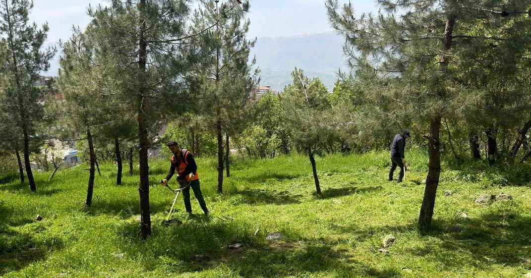 ŞIRNAK BELEDİYESİ PARK VE BAHÇE MÜDÜRLÜĞÜ EKİPLERİ, MEZARLIKLAR İLE YEŞİL ALANLARDA KAPSAMLI...