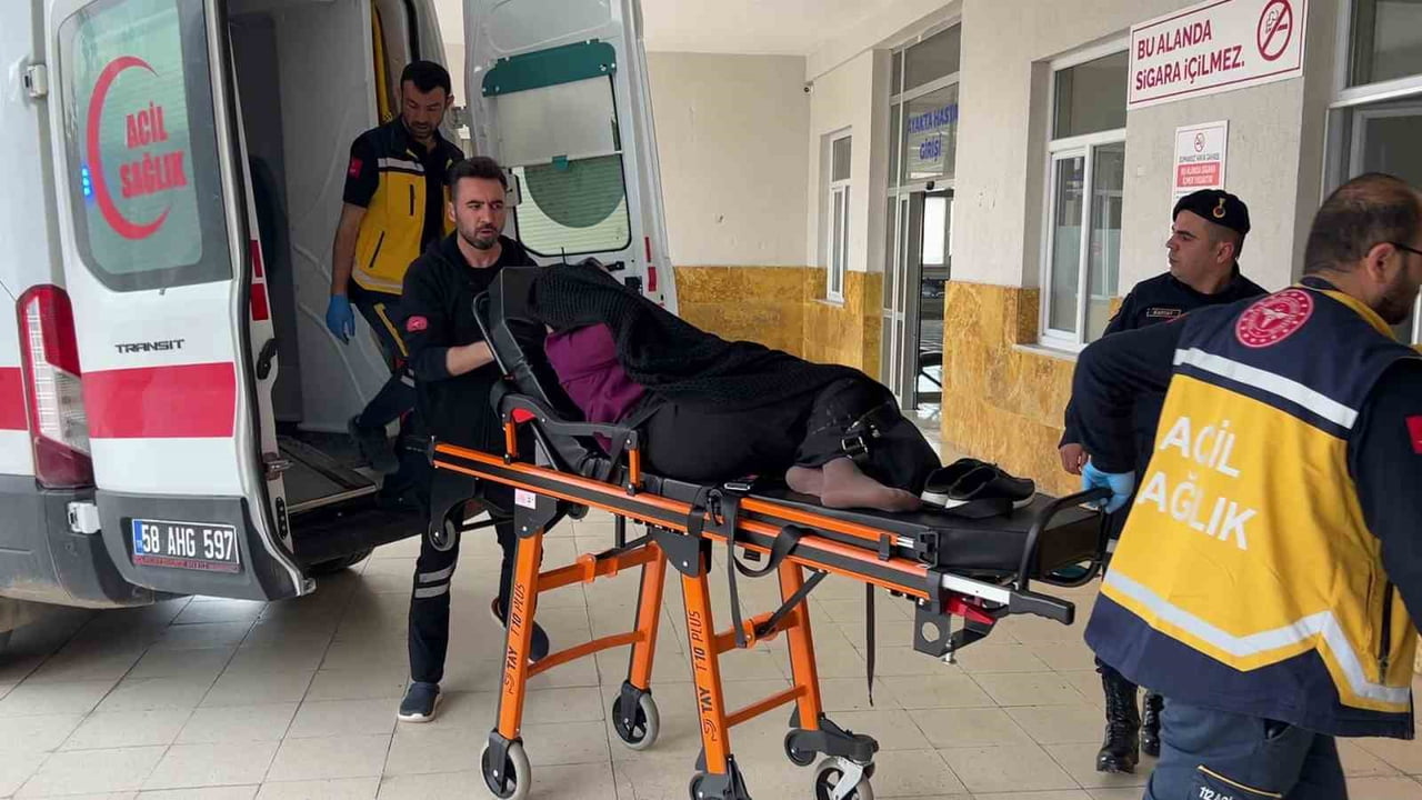 SİVAS'IN YILDIZELİ İLÇESİ TÖNGEL KÖYÜNDE KOMŞUNUN BOSTANINA GİREN İNEK AKRABALAR ARASINDA KAVGAYA...