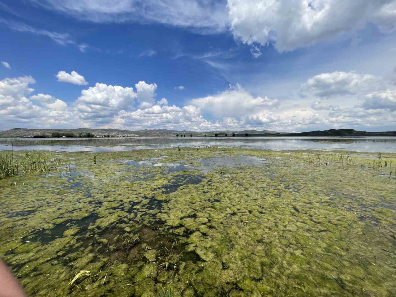 SİVAS'TA ARALIKSIZ DEVAM EDEN YAĞIŞLAR BİNLERCE DÖNÜM TARIM ARAZİSİNİ ADETA GÖLE...