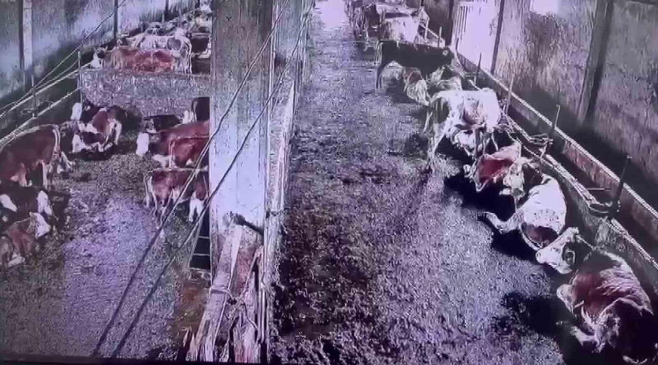 SİVAS’IN GÜRÜN İLÇESİNDE MEYDANA GELEN 2.9 BÜYÜKLÜĞÜNDEKİ DEPREM İNSANLAR TARAFINDAN...
