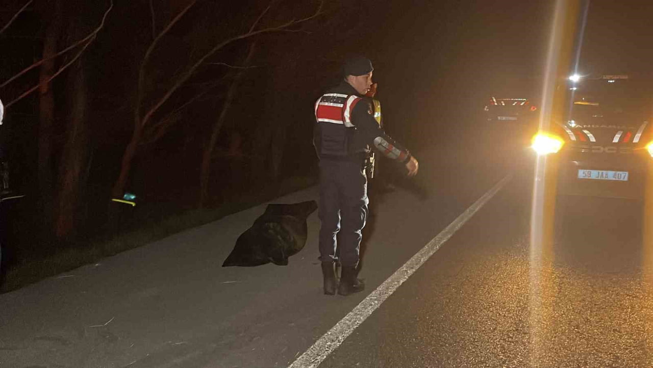 SİVAS’IN ŞARKIŞLA İLÇESİNDE MEYDANA GELEN TRAFİK KAZASINDA, YOLDAN ÇIKARAK DEVRİLEN ARAÇTAKİ 1...