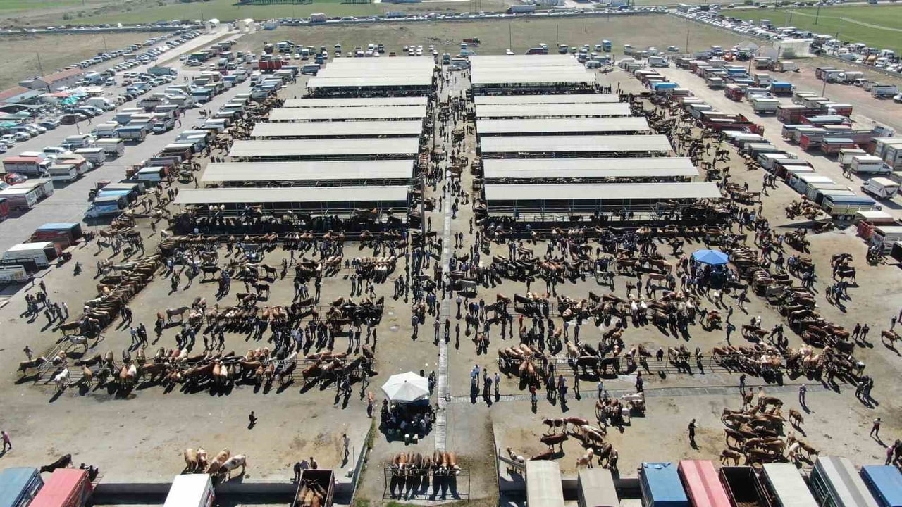 SİVAS’TA YER ALAN VE TÜRKİYE’NİN EN BÜYÜK HAYVAN PAZARI OLMA UNVANINI TAŞIYAN ŞARKIŞLA HAYVAN...