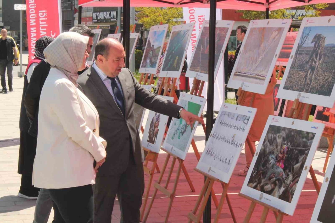 TARIM VE ORMAN BAKANLIĞI TARAFINDAN DÜZENLENEN 15. ULUSLARARASI TARIM ORMAN VE İNSAN FOTOĞRAF...