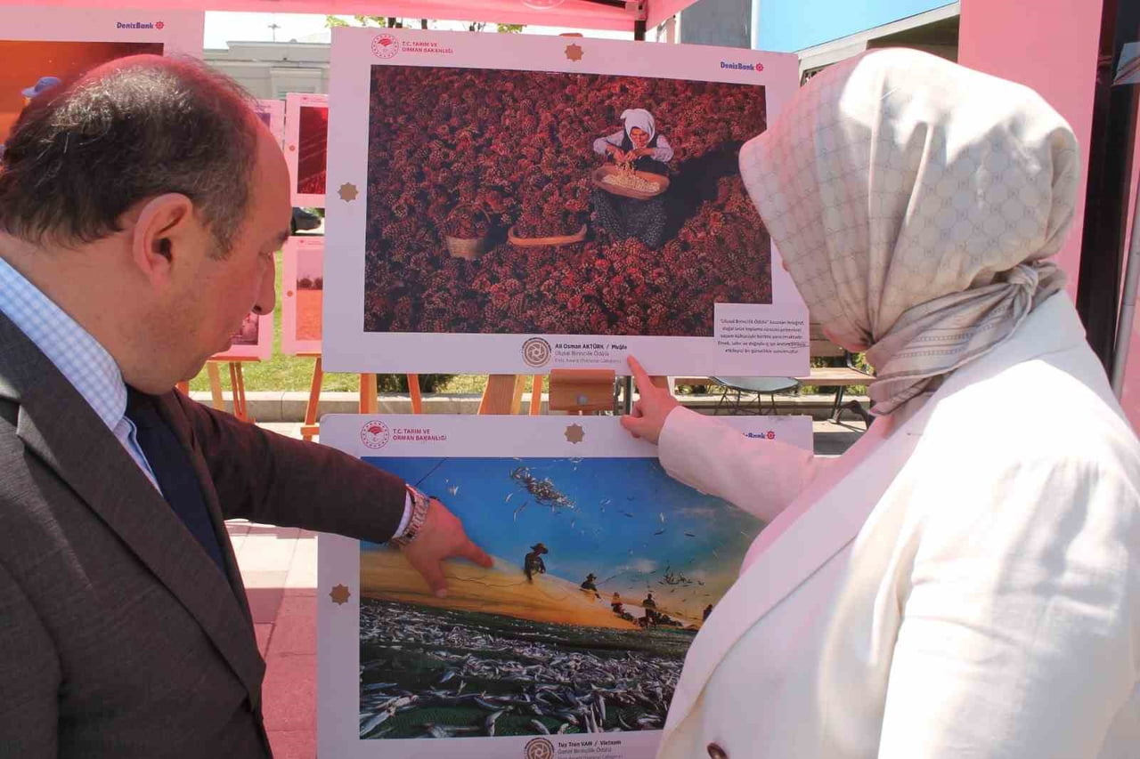 TARIM VE ORMAN BAKANLIĞI TARAFINDAN DÜZENLENEN 15. ULUSLARARASI TARIM ORMAN VE İNSAN FOTOĞRAF...