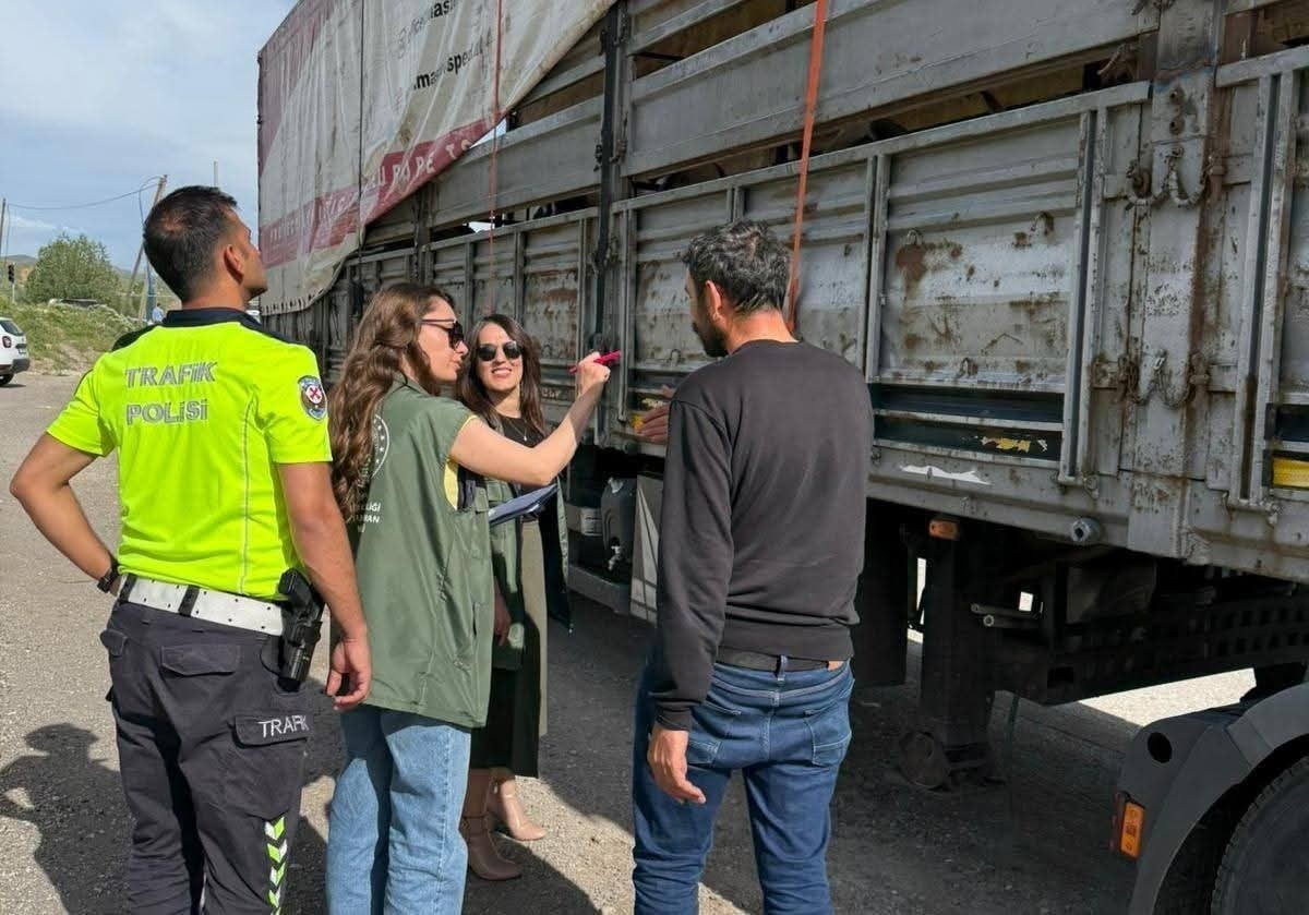 TERCAN’DA KURBANLIK HAYVAN SEVKİYATLARINA SIKI DENETİM