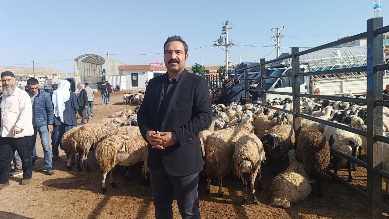 TÜRKİYE'NİN EN BÜYÜK HAYVAN PAZARLARI ARASINDA YER ALAN ŞANLIURFA'DAKİ PAZARDA KURBANLIK YOĞUNLUĞU...