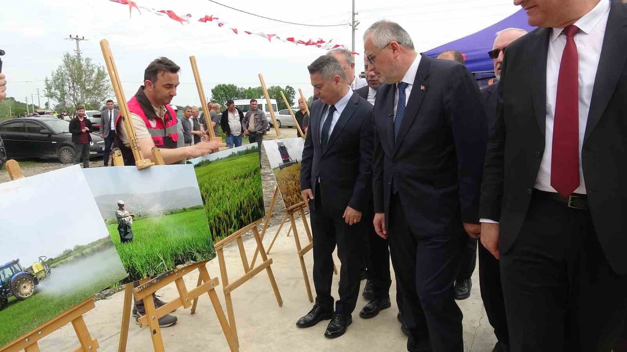 TÜRKİYE'NİN EN VERİMLİ TARIM ALANLARI ARASINDA GÖSTERİLEN BAFRA OVASI'NDA BU YIL 12'NCİSİ...