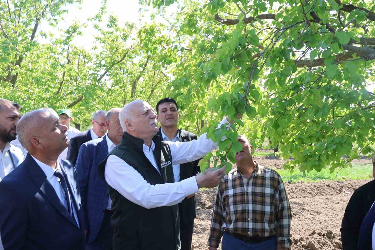 TÜRKİYE ZİRAAT ODALARI BİRLİĞİ (TZOB) GENEL BAŞKANI ŞEMSİ BAYRAKTAR, IĞDIR’DAKİ KAYISI...