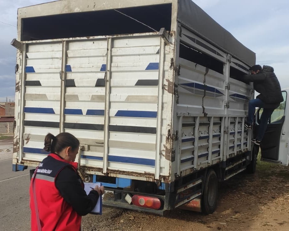 UŞAK’TA HAYVAN SAĞLIĞININ KORUNMASI, BULAŞICI HAYVAN HASTALIKLARININ ÖNLENMESİ VE HALK SAĞLIĞININ...
