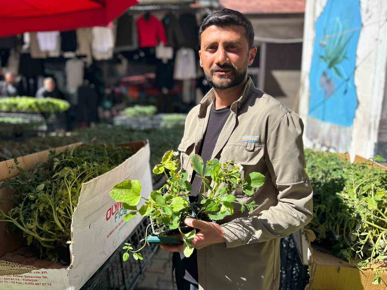 VAN'DA HAVA SICAKLIKLARININ ARTMASIYLA BİRLİKTE TARIM VE BAHÇECİLİK SEZONU AÇILIRKEN, FİDE VE...
