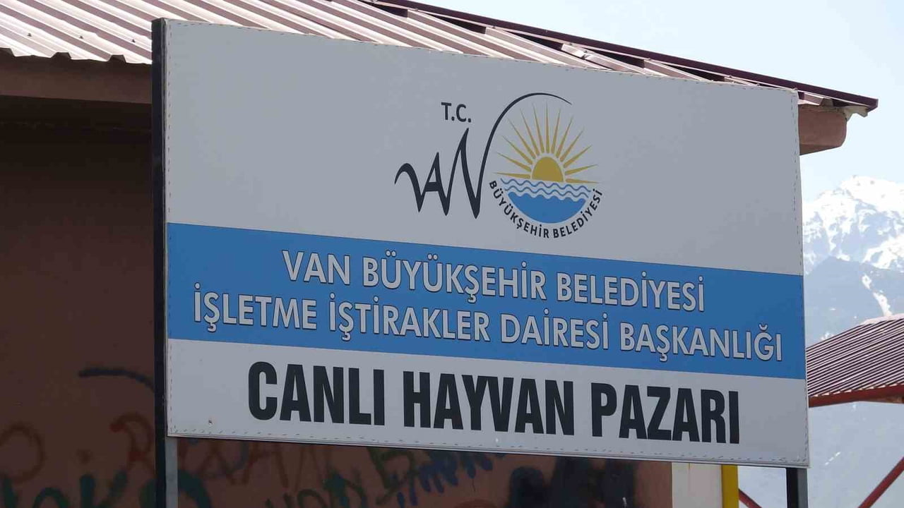 VAN'IN İPEKYOLU İLÇESİNDE BULUNAN CANLI HAYVAN PAZARINDA İKİ GRUP ARASINDA ÇIKAN SİLAHLI KAVGADA 1...