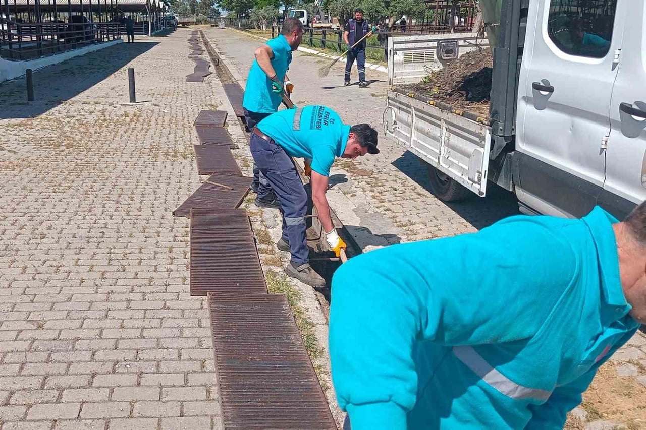 YAKLAŞAN KURBAN BAYRAMI İLE BİRLİKTE HAYVAN PAZARLARINDA HAREKETLİLİK BAŞLARKEN, EFELER BELEDİYESİ...
