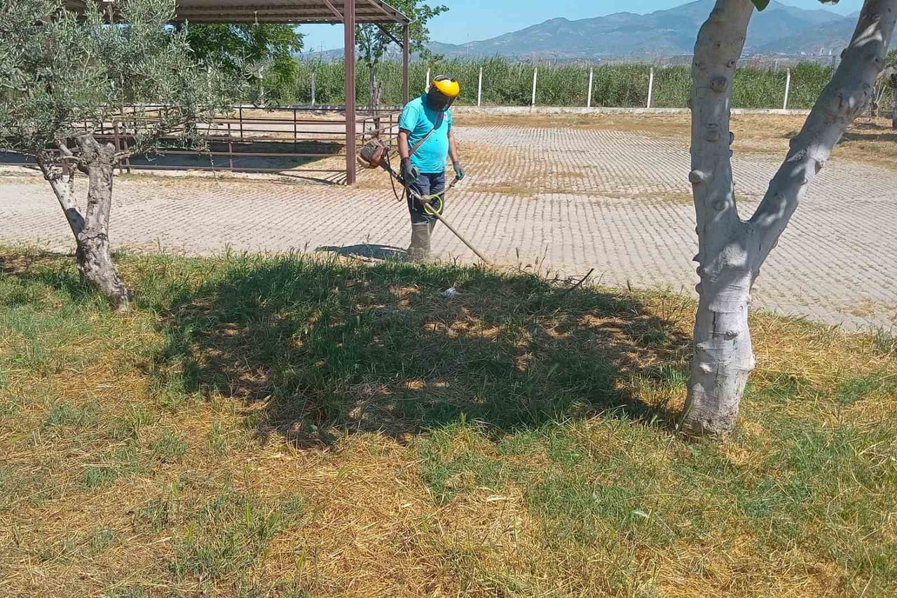 YAKLAŞAN KURBAN BAYRAMI İLE BİRLİKTE HAYVAN PAZARLARINDA HAREKETLİLİK BAŞLARKEN, EFELER BELEDİYESİ...